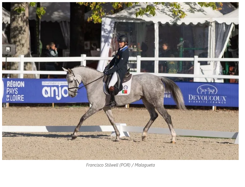 Malagueta em 39º lugar no Campeonato do Mundo de Cavalos Novos