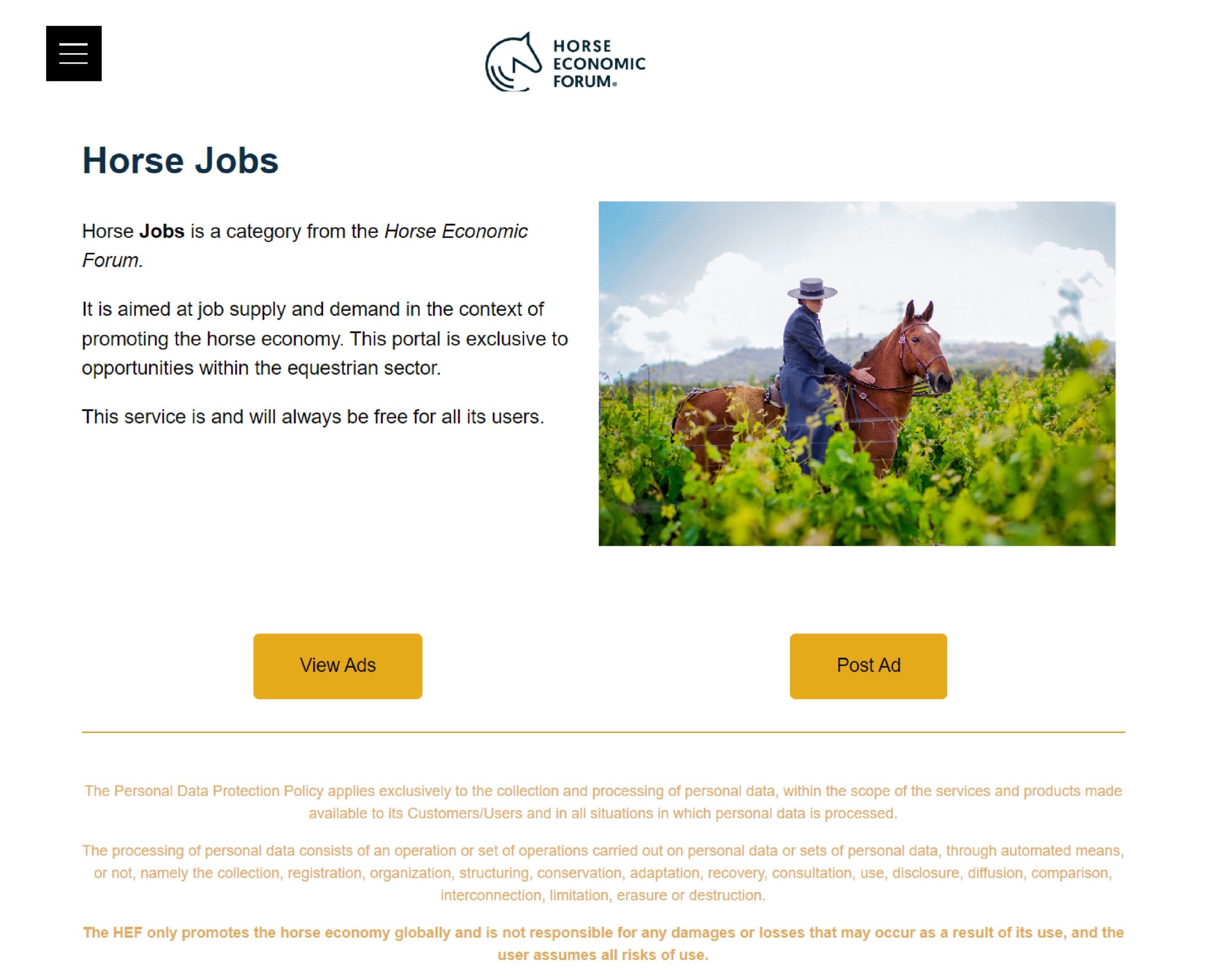 Horse Jobs já está online