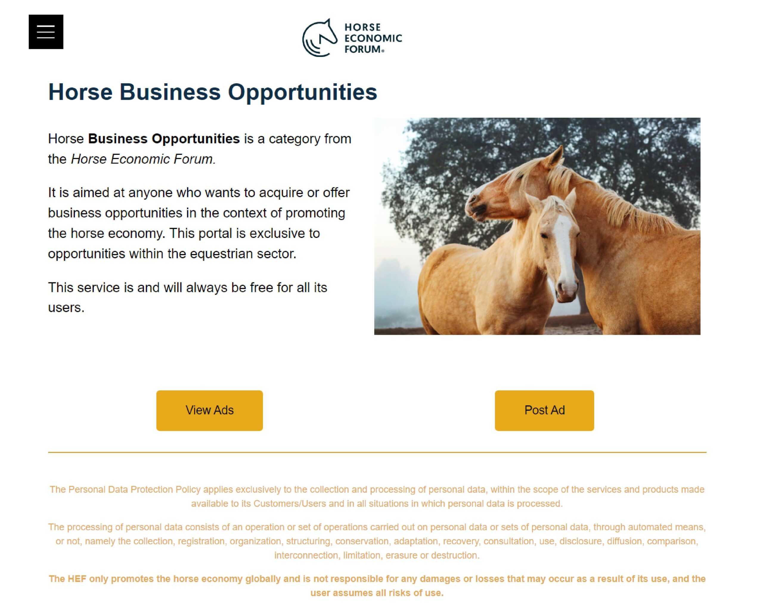 Horse Business Opportunities já está online