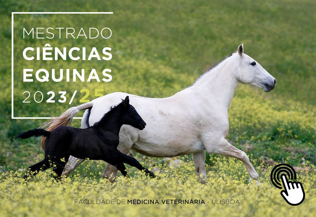 Mestrado em Ciências Equinas? Sim, e em Portugal