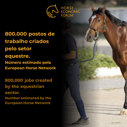 800.000 postos de trabalho criados pelo setor equestre
