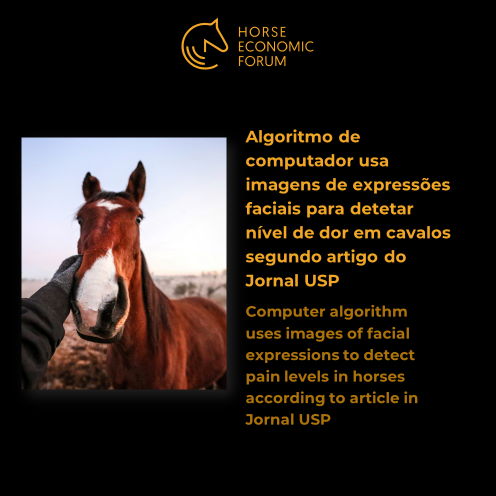 Algoritmo de computador usa imagens de expressões faciais para detetar nível de dor em cavalos