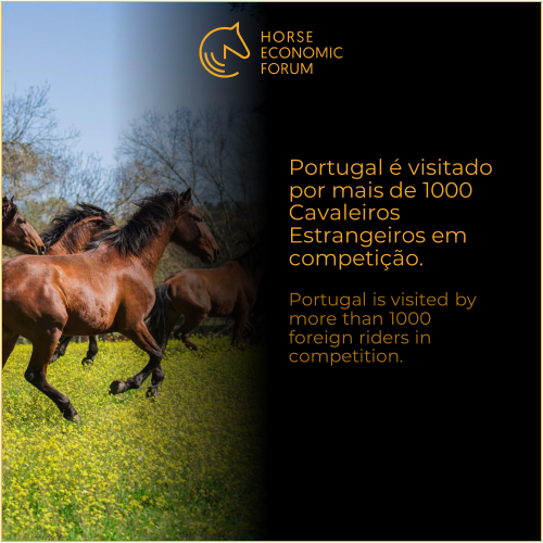 Portugal é visitado por mais de 1000 Cavaleiros Estrangeiros em competição