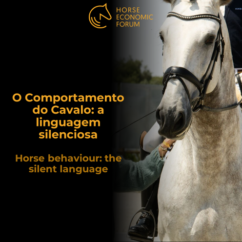 Comportamento do Cavalo: a linguagem silenciosa