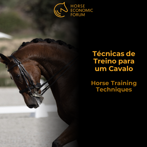 Técnicas de Treino para um Cavalo
