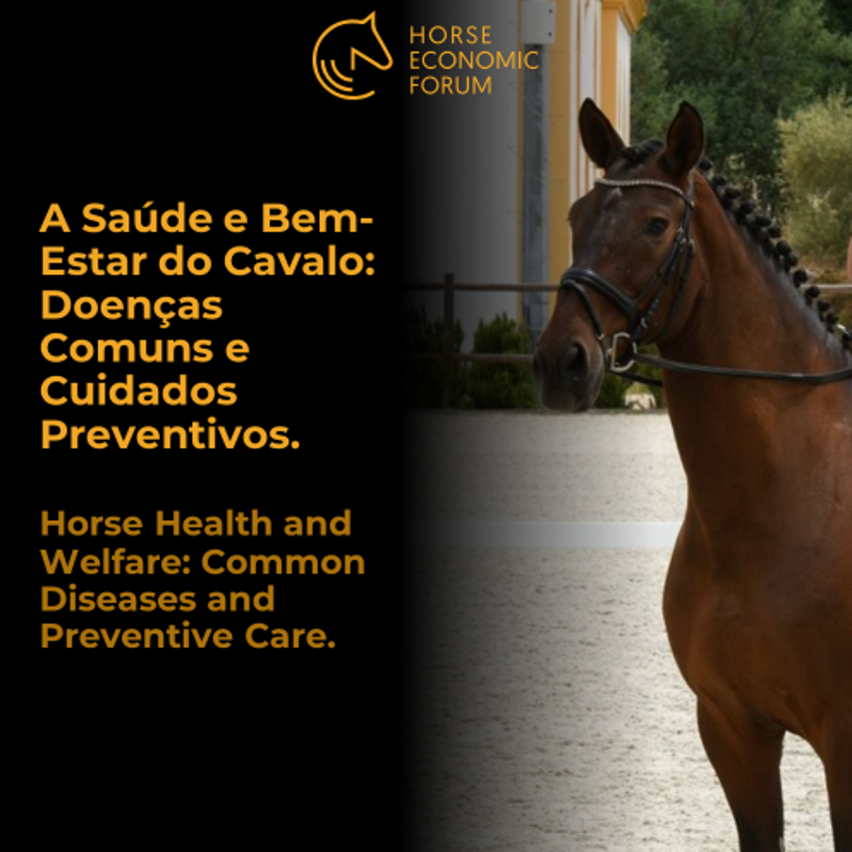 A Saúde e Bem-Estar do Cavalo: Doenças Comuns e Cuidados Preventivos