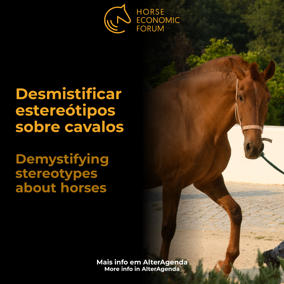 Desmistificar estereótipos sobre cavalos