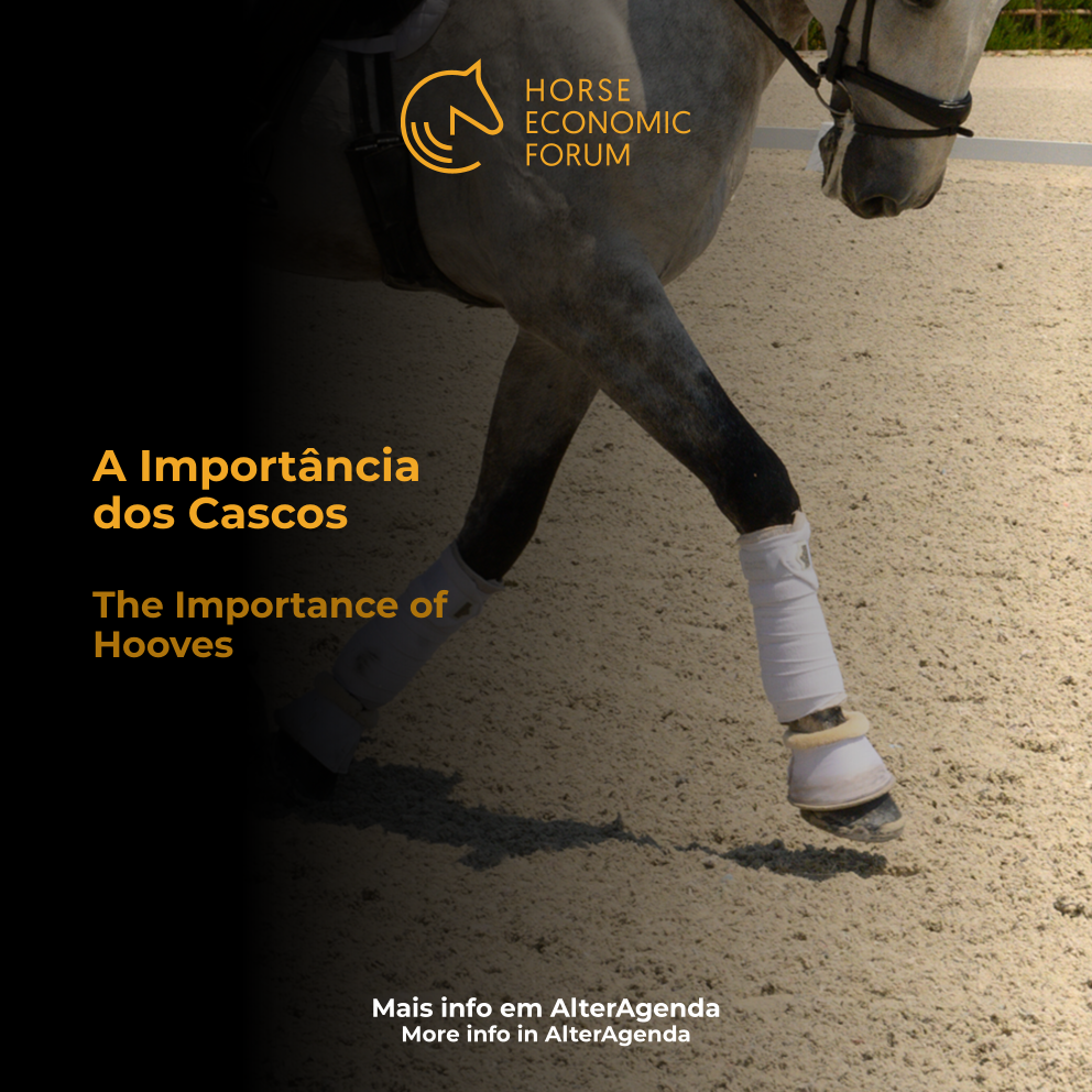 A Importância dos Cascos