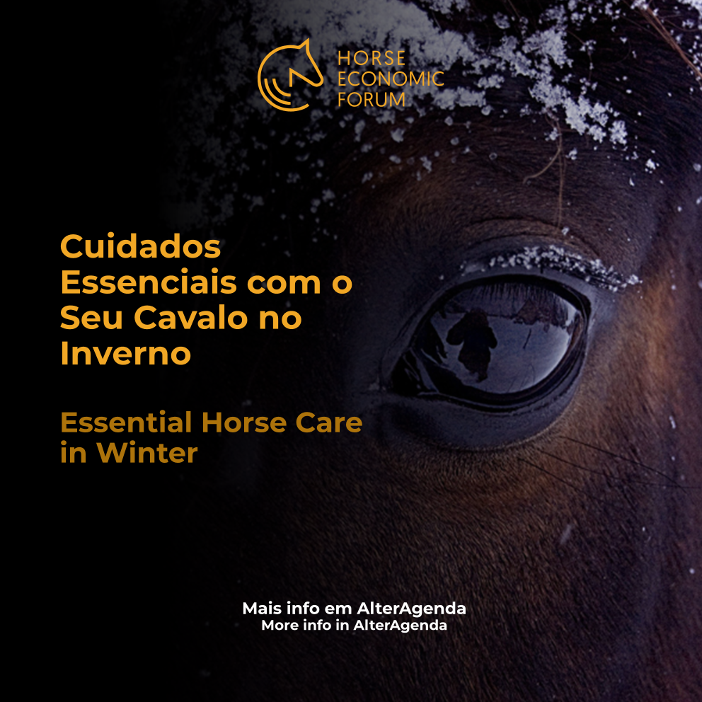 Cuidados Essenciais com o Seu Cavalo no Inverno