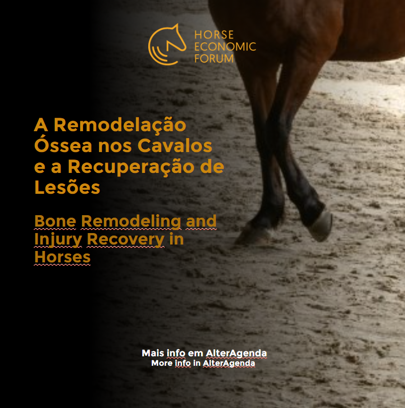  A Remodelação Óssea nos Cavalos e a Recuperação de Lesões