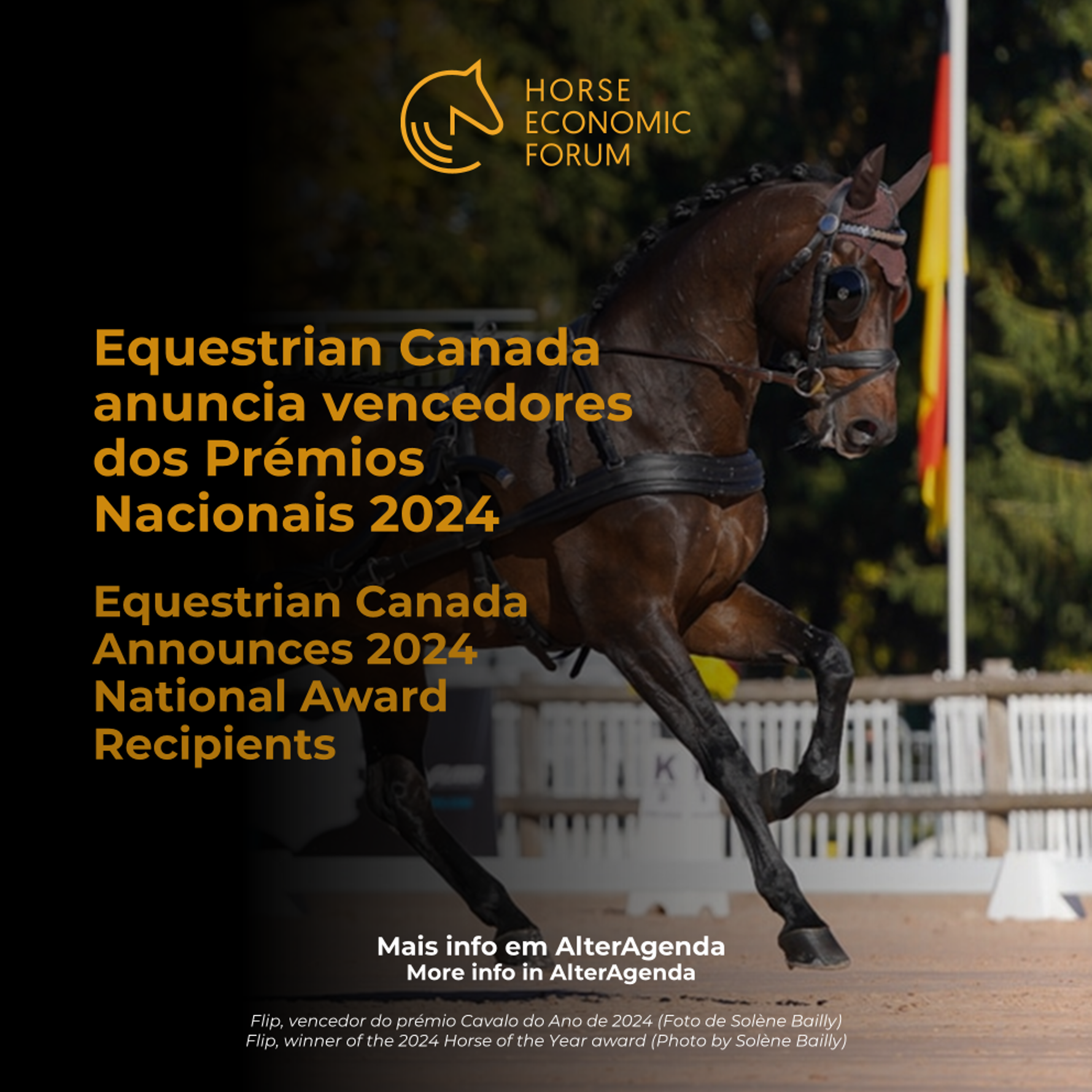 Equestrian Canada anuncia vencedores dos Prémios Nacionais 2024