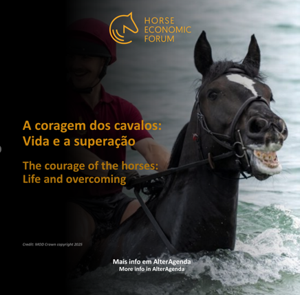 A coragem dos cavalos: Vida e a superação