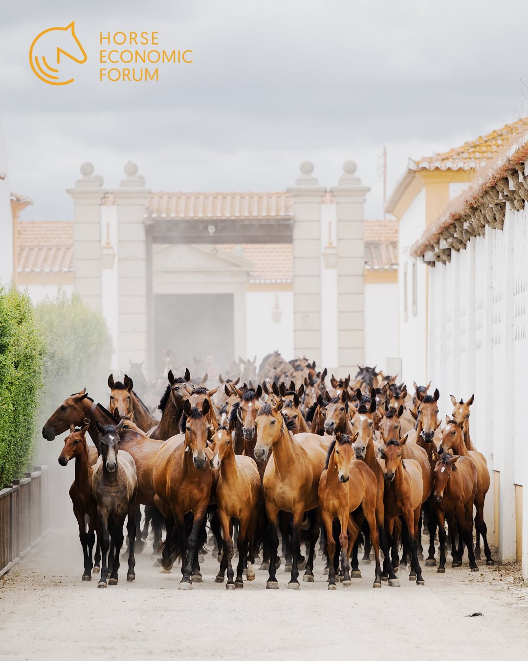 Horse Economic Forum 2025 reuniu líderes do setor equestre em Alter do Chão