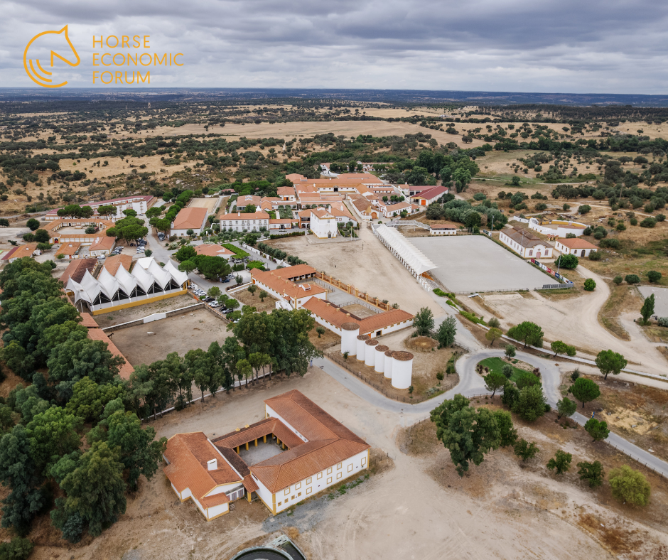 Coudelaria de Alter do Chão: Património Vivo de Portugal