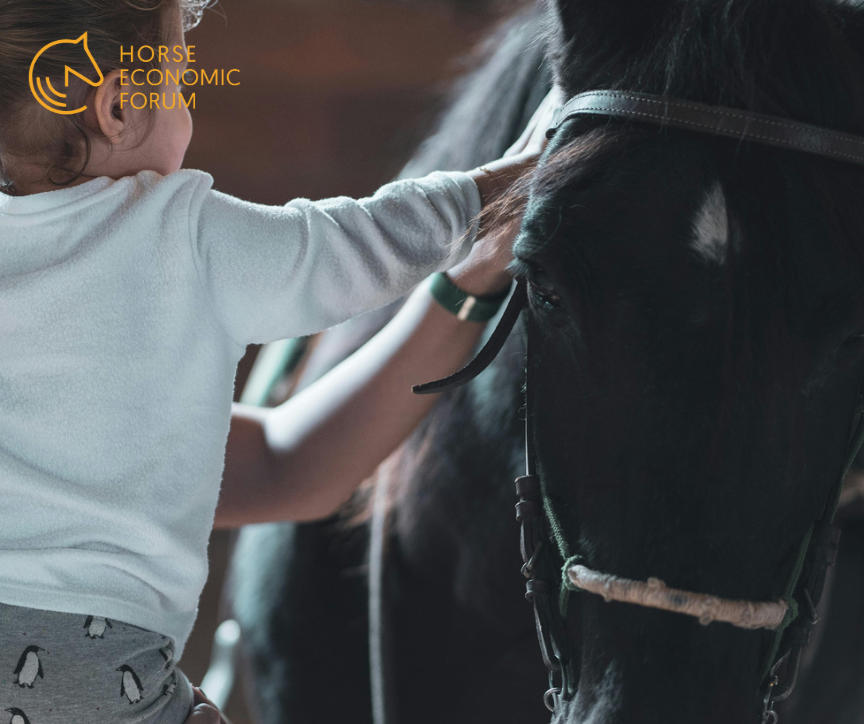 Equinoterapia em Puebla: quando o cavalo se torna terapia