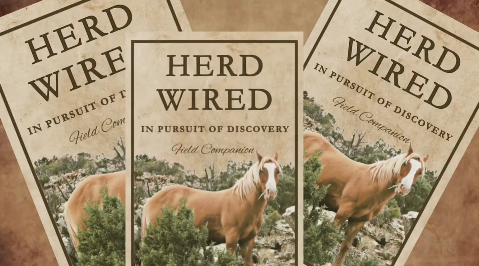 Herd Wired: Em Busca da Descoberta