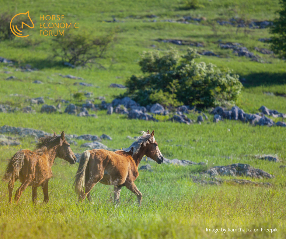A Áustria e o cavalo: tradição, economia e ruralidade