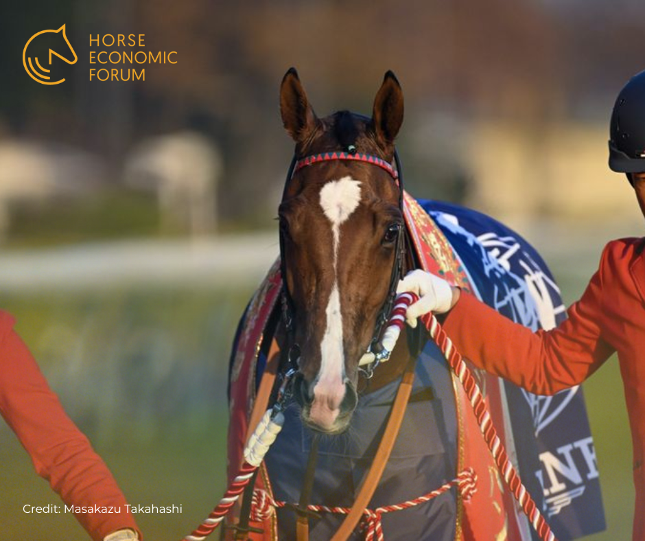 Racing Awards: Calandagan & JP McManus em destaque