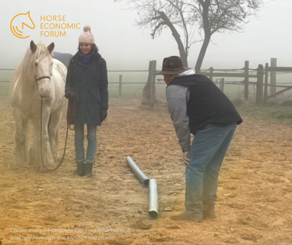 Reflexões sobre a mente do cavalo: lições de uma tour internacional