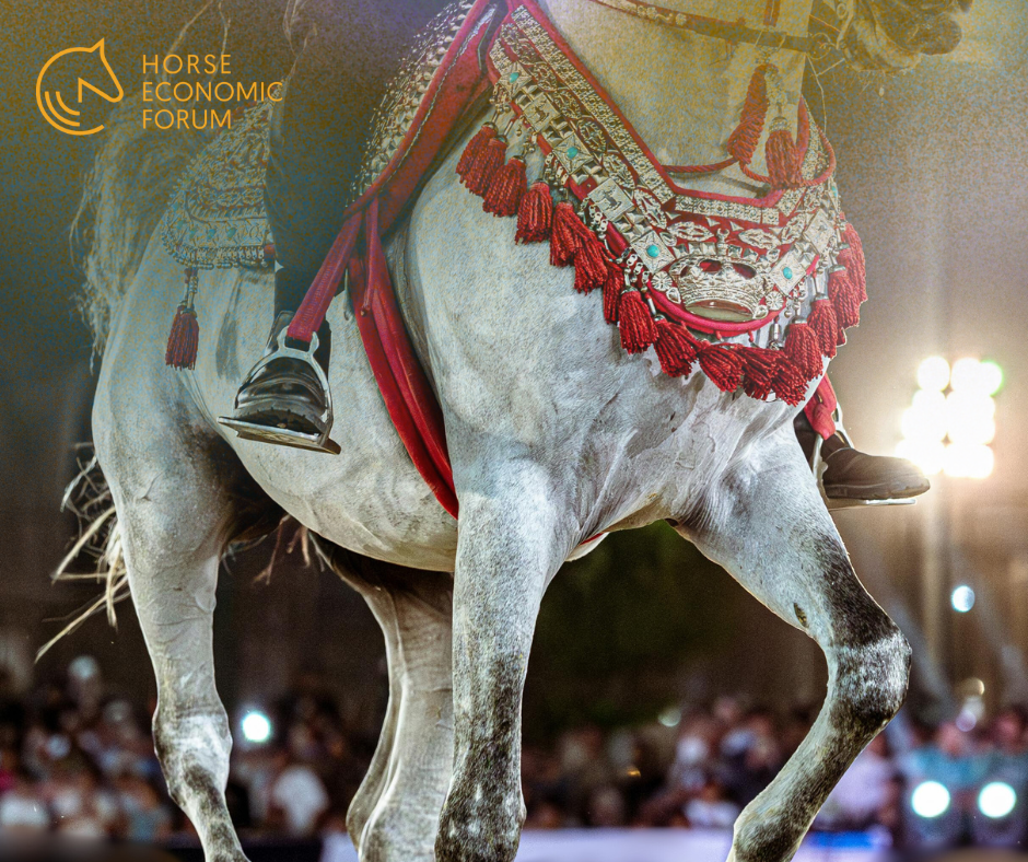 Souq Waqif Equestrian Festival 2026 arranca em Doha