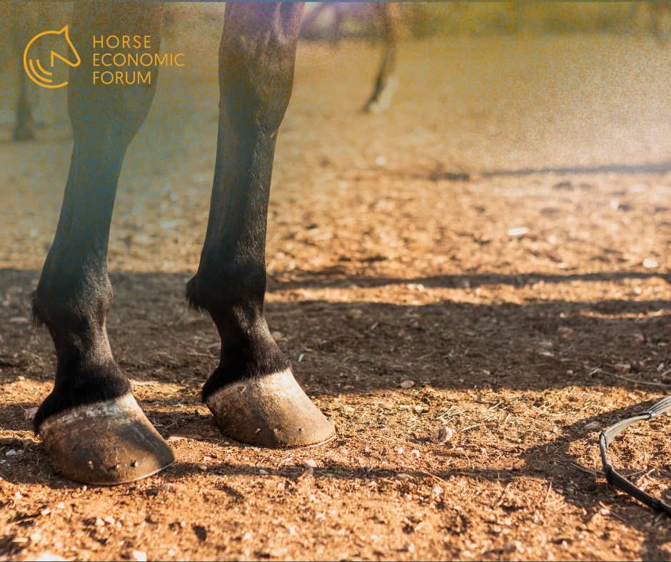 Barreiras invisíveis travam o crescimento do desporto equestre