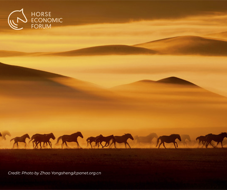 Exposição fotográfica na China retrata o espírito dos cavalos