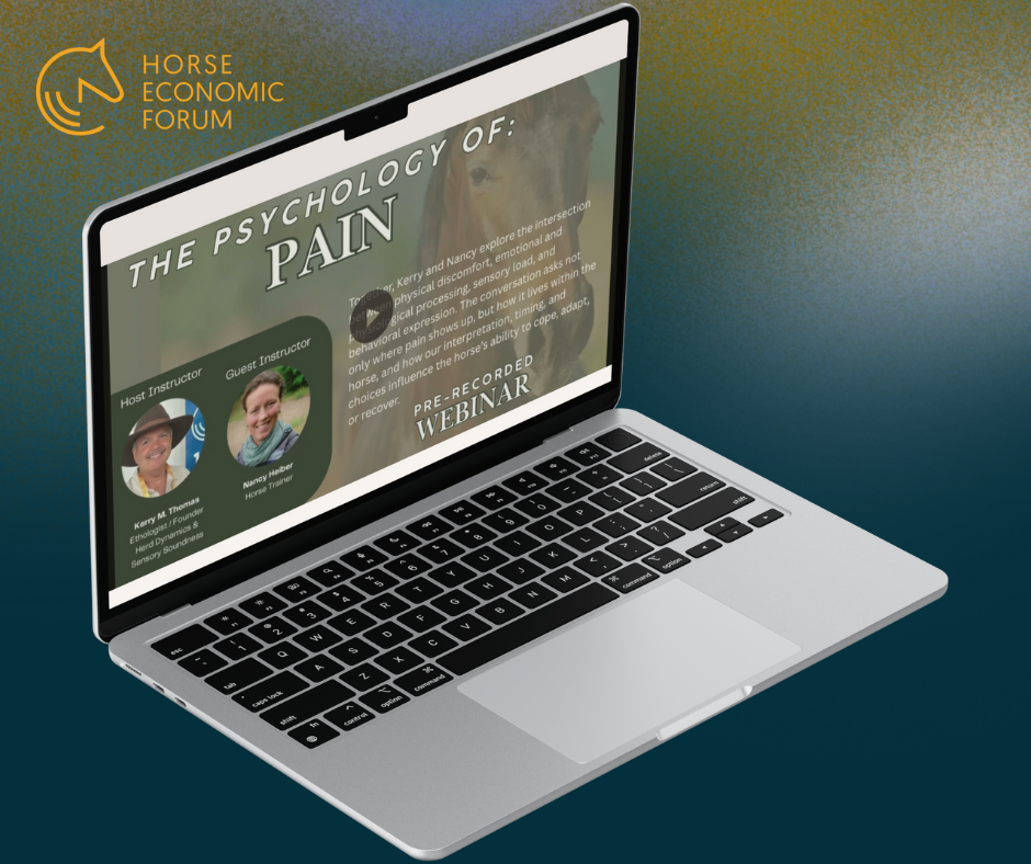 A psicologia da dor nos cavalos: compreender para melhorar o bem-estar