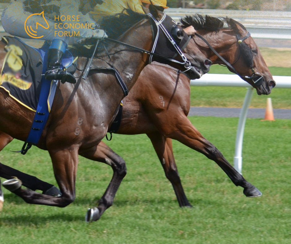 Guangzhou retoma corridas de cavalos após 27 anos