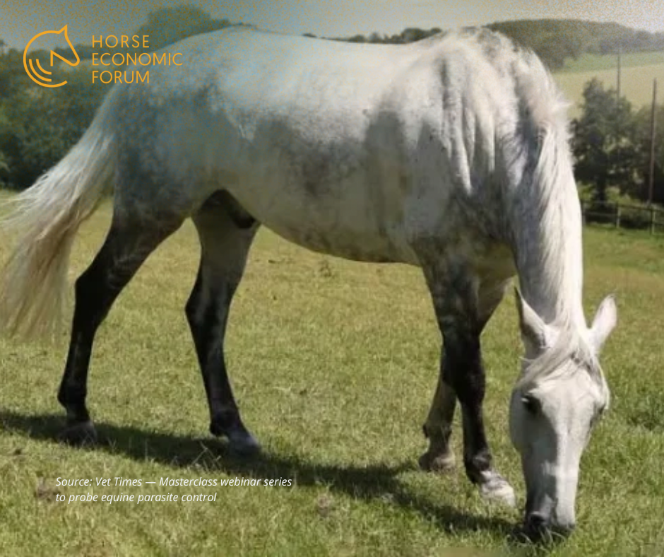 Série de webinars aborda controlo de parasitas em equinos