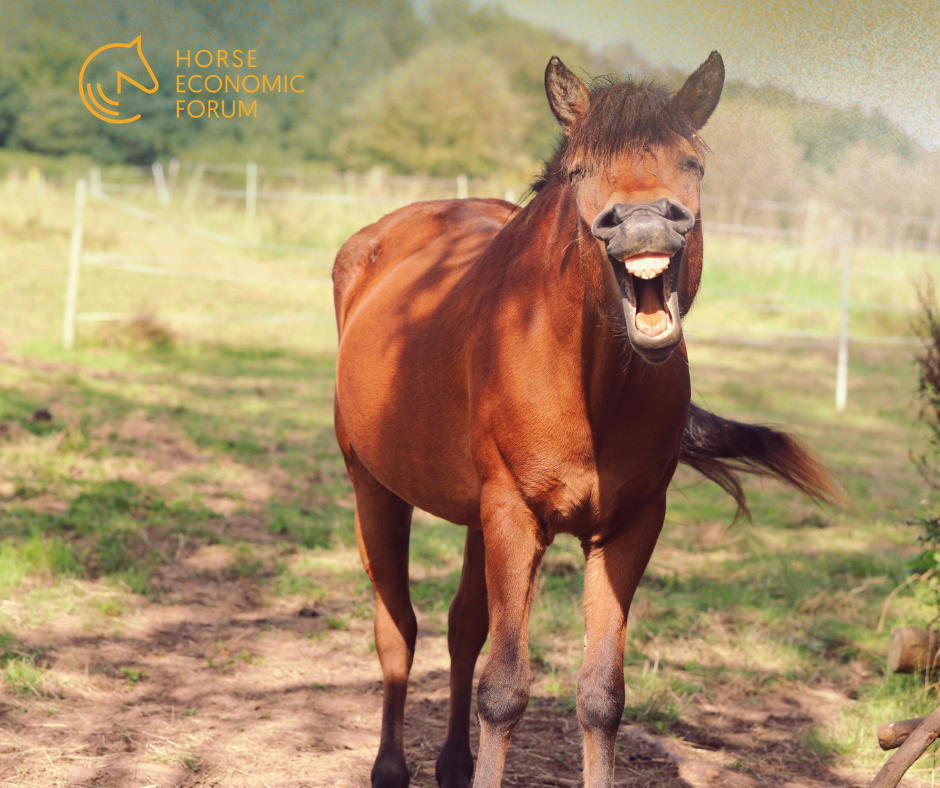 Estudo revela como os cavalos produzem o relincho