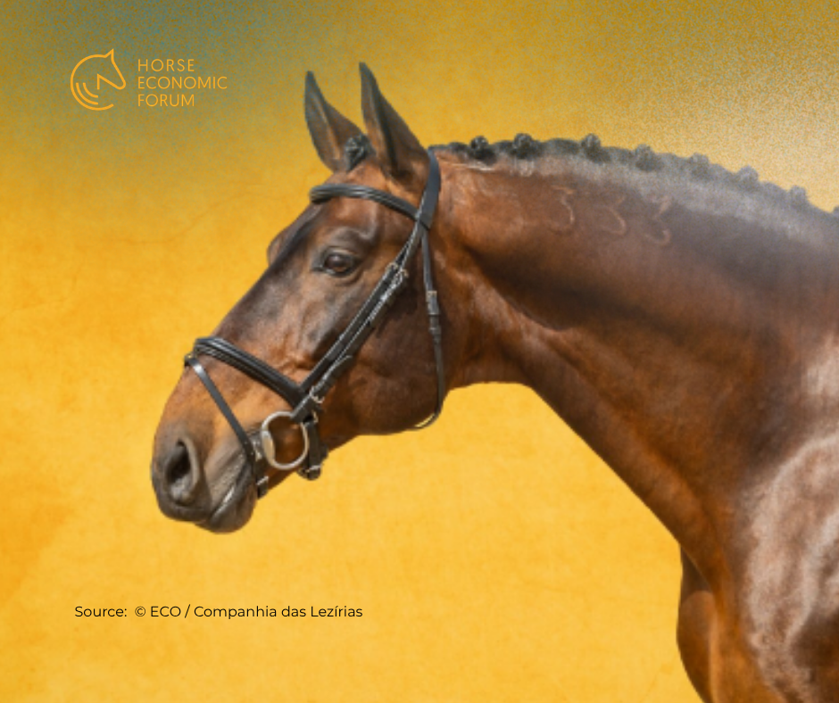 Coudelaria de Alter leva 23 cavalos a leilão na Feira de São Marcos