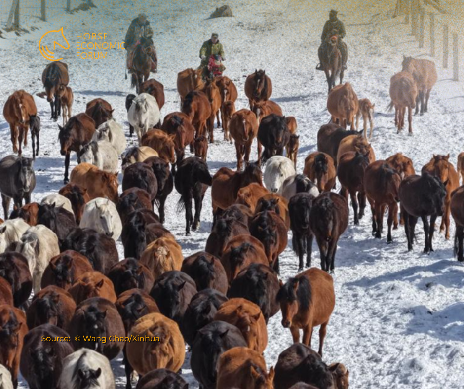 Cavalos deslocam-se para pastagens naturais durante época agrícola na China