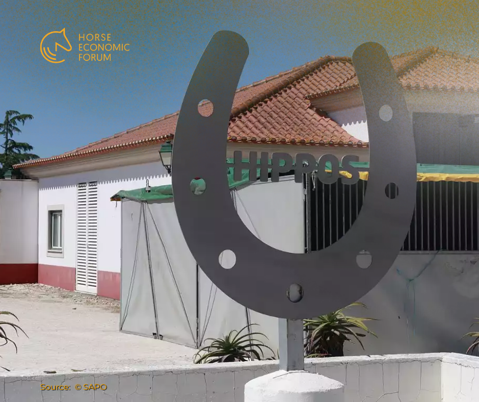 Golegã avança com picadeiro coberto para reforçar o sector equestre