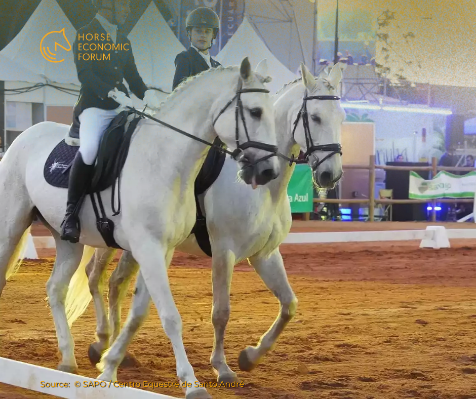 Gala Equestre do Centro Equestre de Santo André voltou a encantar o público