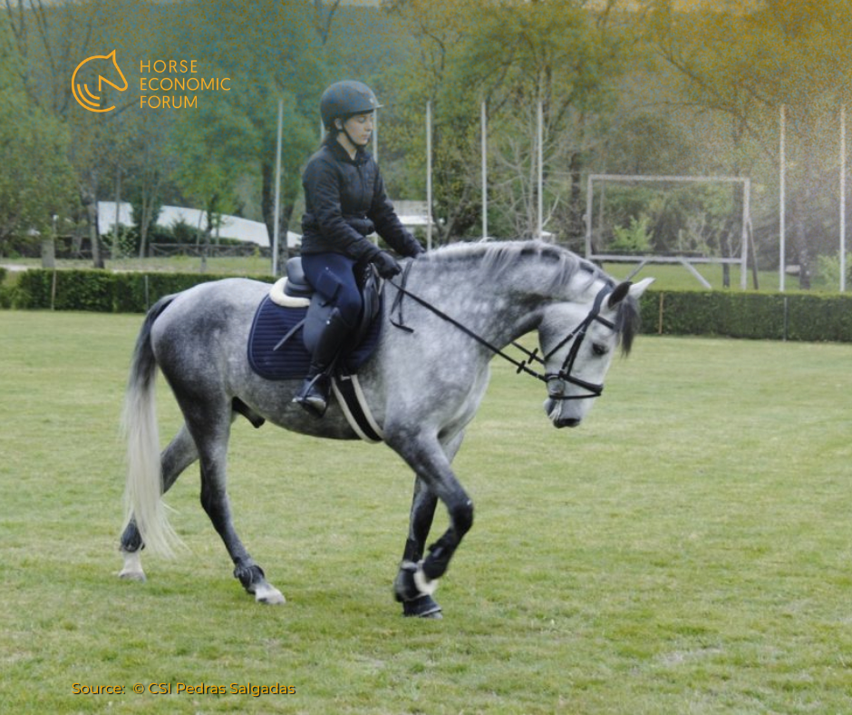 Concurso de Saltos Internacional de Pedras Salgadas espera 180 conjuntos equestres