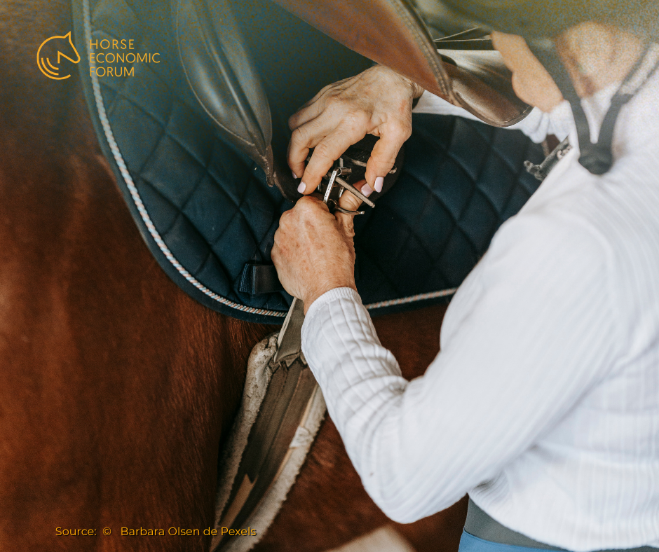 Equipamento equestre: segurança impulsiona mercado global