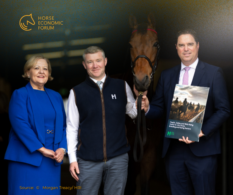 Horse Racing Ireland lança guia atualizado de saúde, segurança e bem-estar
