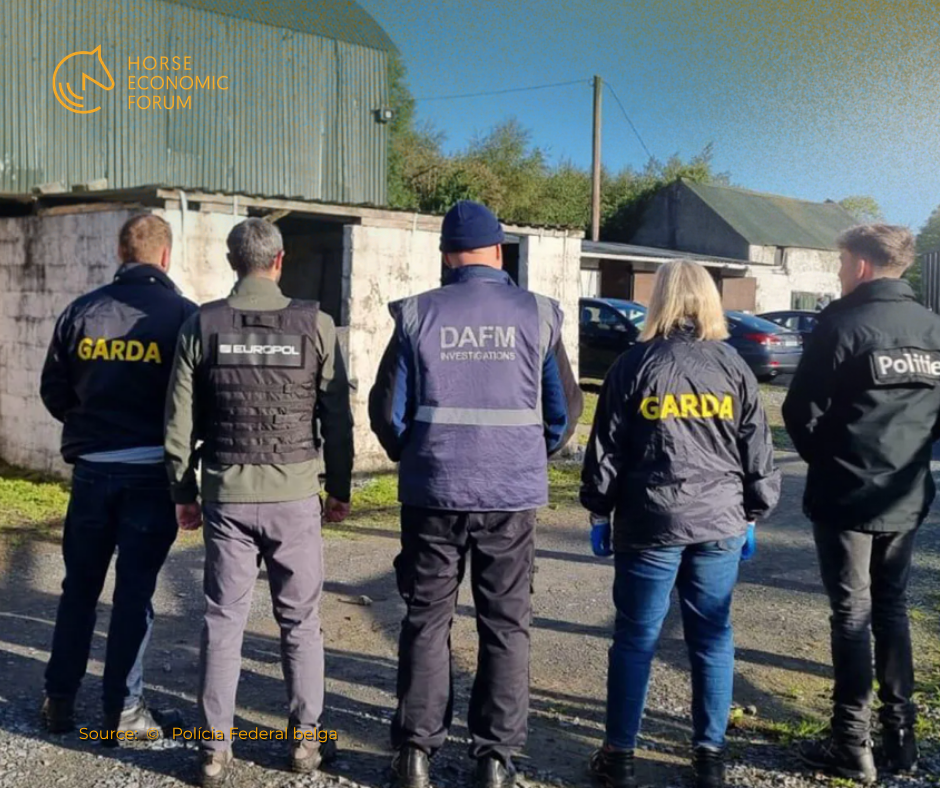 Rastreabilidade sob pressão: operação europeia expõe riscos no comércio de cavalos